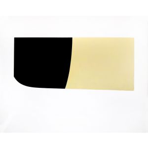 Bianchi e neri II (Acetates) - Plate B