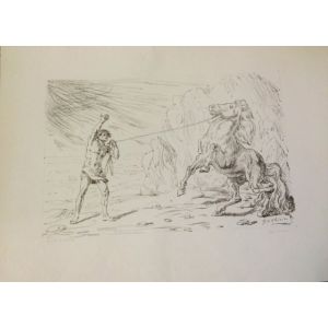 Tav. 9 - Ippolito
