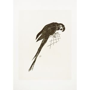 The Parrot