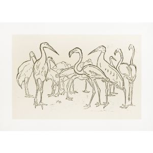 Storks And Flamingos