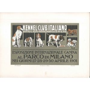Esposizione Internazionale Canina