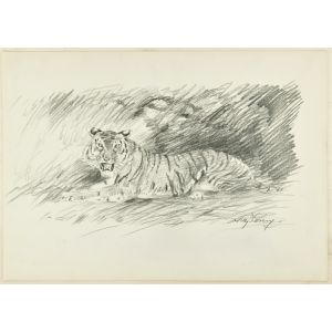 Roaring Tiger