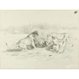 After the Hunt