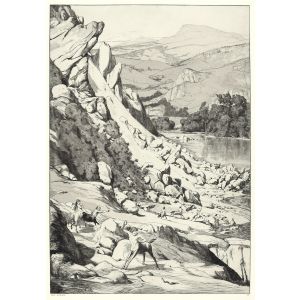 Landslide from 