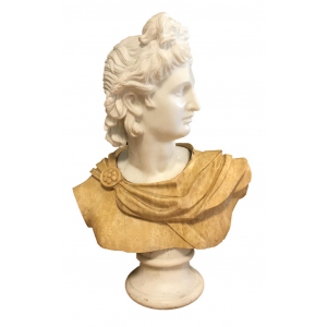 Bust of Apollo 