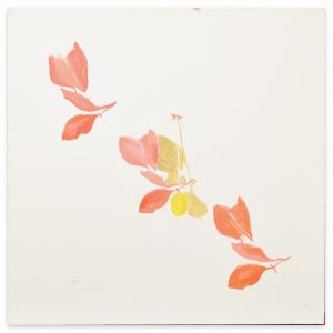 Flower Petals