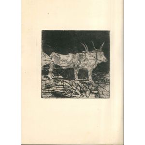 Bovi by Giovanni Fattori - Modern Artwork