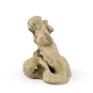 The Siren