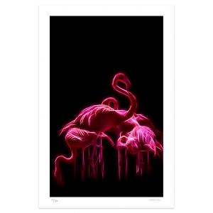 Flamingos