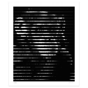 White Lines