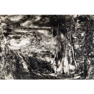 Black And White Landscape