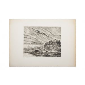 Alluvions