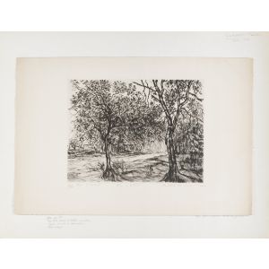 Allé sous bois