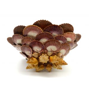 Marine Shells Cachepot