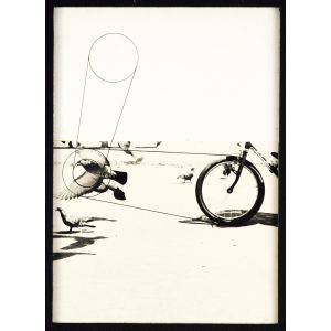 Birds by Pino Settanni - Contemporary Artwork
