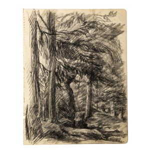 Wood