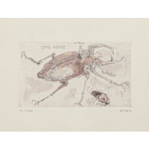 Insects
