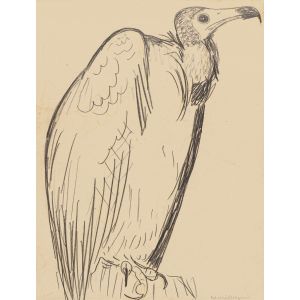 The Condor