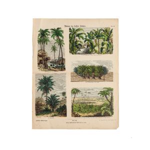Trees