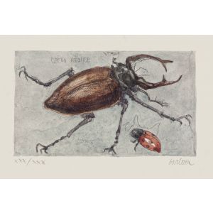 Insects