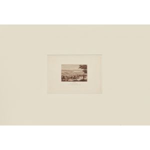Zurich Landscape