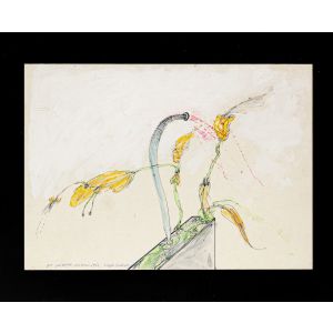 Carnivorous Plants