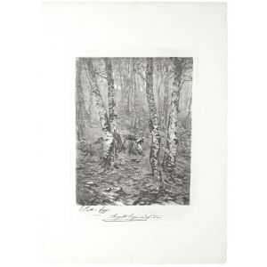 Beeches