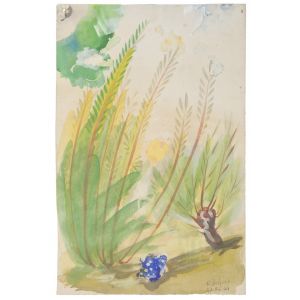 Vegetation