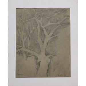 Tree of Life