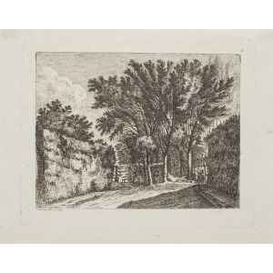 The Forest