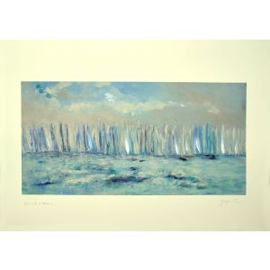 La Regata