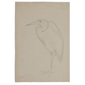 Bird - SOLD
