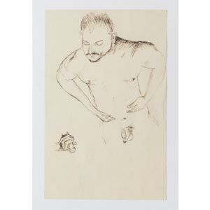 Figures Studies