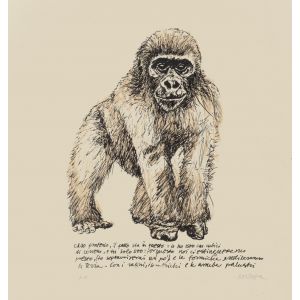 Monkey
