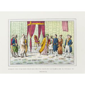 The Consul of France