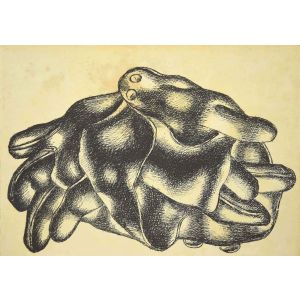 The Gloves