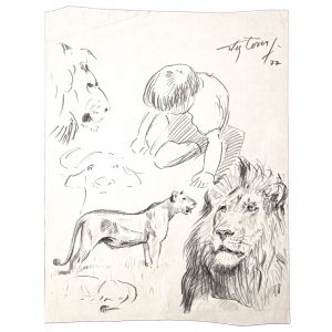 Study of lions and child by Wilhelm Lorenz