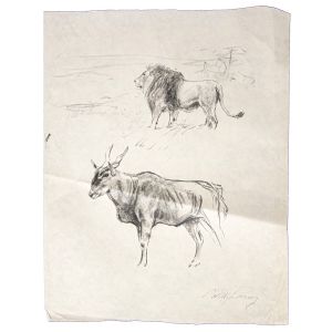 Gnu and lion