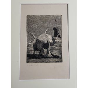 Bull