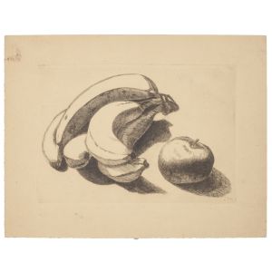 Still LIfe