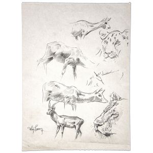 Gazzelle, gnu, tiger