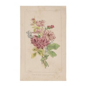 Wild roses and Geranium