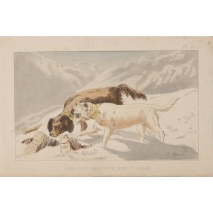 Le Mont St. Bernard