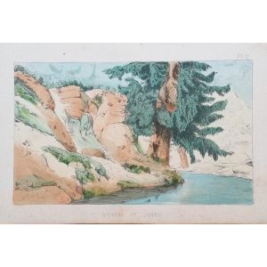 Rocks and Firs