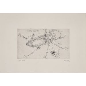 Insects
