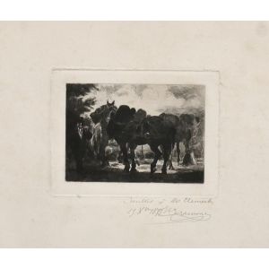 Horses