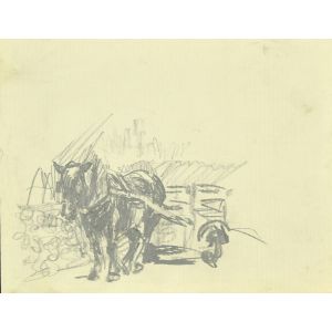 Draft Horse