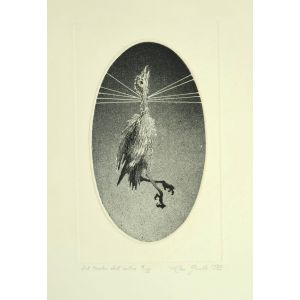 Dal Torchio Dell'Autore