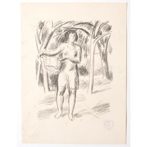 Fruit Picker