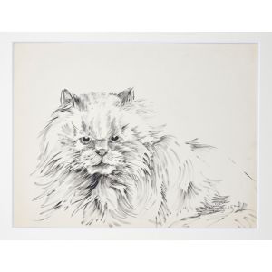 The Cat
